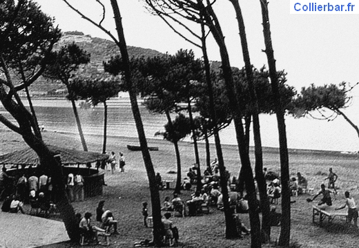 Club Mediterranée Alcudia 1950