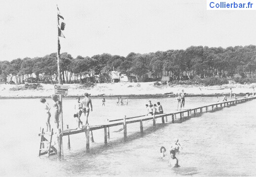 Club Mediterranée Alcudia 1950