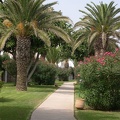 Club Med Smir les jardisn