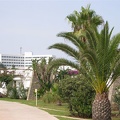 club Med Smier