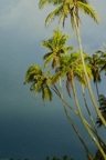 Moorea (46 visits) Moorea