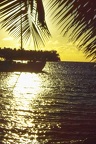 Moorea (64 visits) Moorea