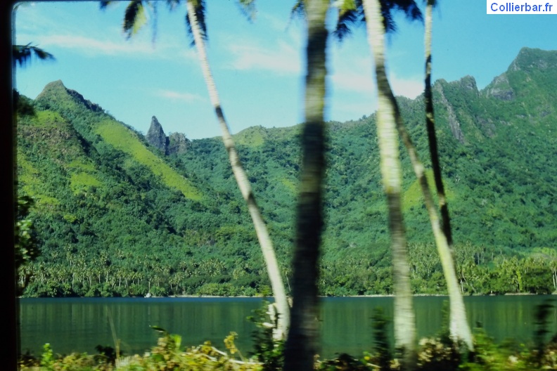IMAG0140.JPG