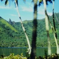Moorea