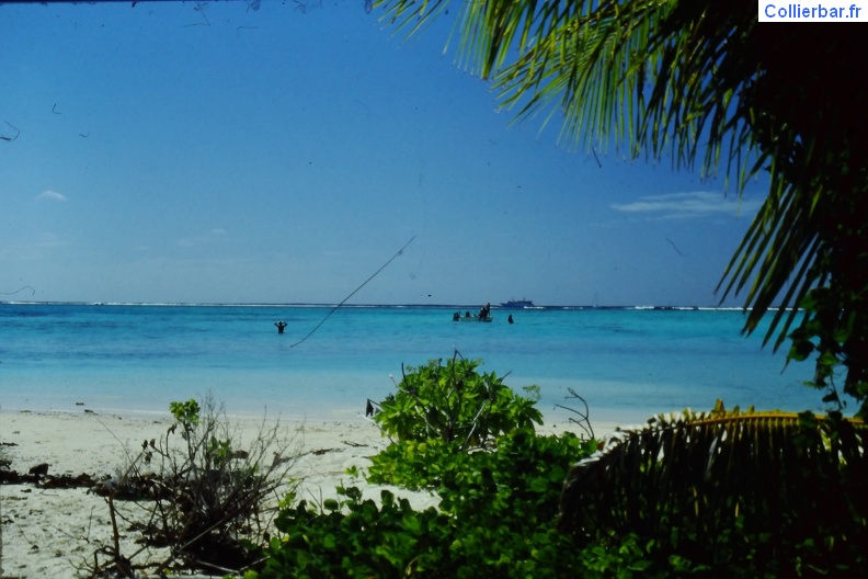 IMAG0142.JPG