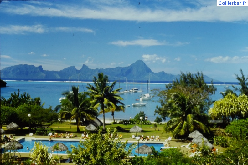 IMAG0149.JPG