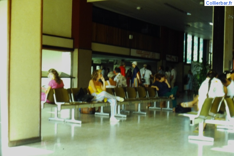 IMAG0150.JPG
