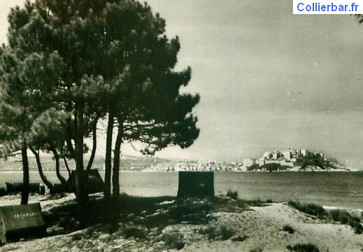 CO - Club Olympique Calvi 1949 (8038 visits, rating score 4.23) CO - Club Olympique Calvi 1949