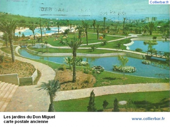 DMG-Jardin don miguel