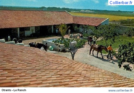 OTR-ranch1 (6471 visits) OTR-ranch1