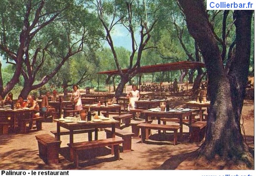 PAL- restaurant (8545 visits, rating score 4.42) PAL- restaurant