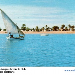 Djerba la Fidèle (Tunisie - Ile de Djerba)