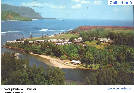HHP-Hawaii plantatyion