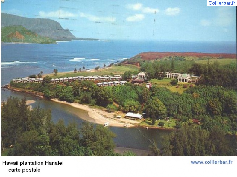 HHP-Hawaii plantatyion.jpg