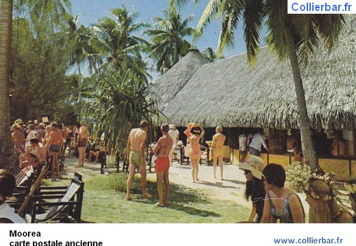 MOO-Moorea bar (6309 visits, rating score 4.23) MOO-Moorea bar