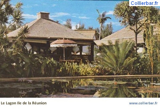 REU-Reunion2 (5961 visits) REU-Reunion2