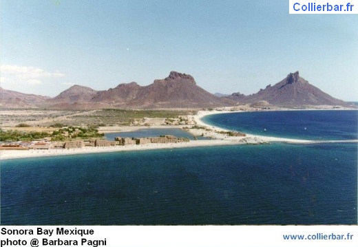 SON-sonora bay6 (5599 visits, rating score 4.23) SON-sonora bay6
