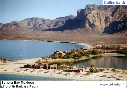 SON-sonora bay4 (5976 visits, rating score 4.42) SON-sonora bay4