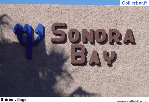 SON-Sonora entree (5603 visits, rating score 4.23) SON-Sonora entree