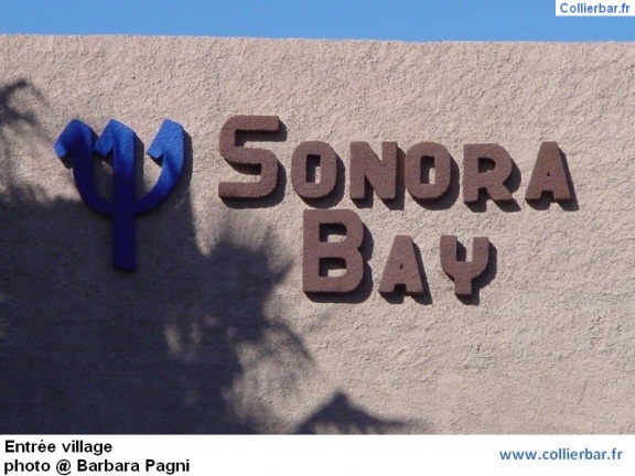 SON-Sonora entree