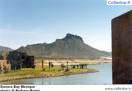SON-sonora bay3 (5881 visits, rating score 4.42) SON-sonora bay3