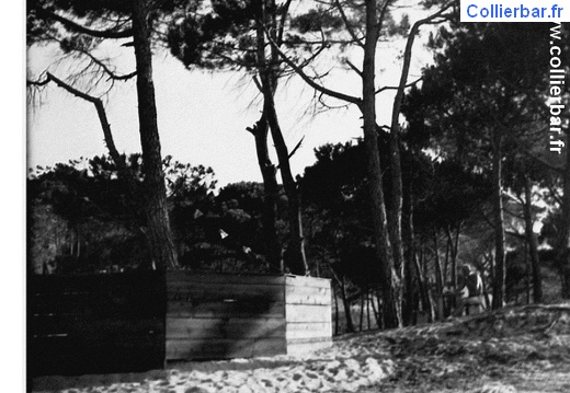 CO - Club Olympique Calvi 1949/6 (7511 visits) CO - Club Olympique Calvi 1949/6