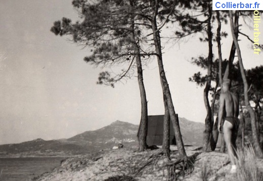 CO - Club Olympique Calvi 1949/2 (7478 visits) CO - Club Olympique Calvi 1949/2