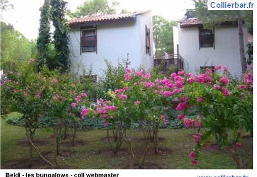 BEL - beldi bungalows (6997 visits) BEL - beldi bungalows