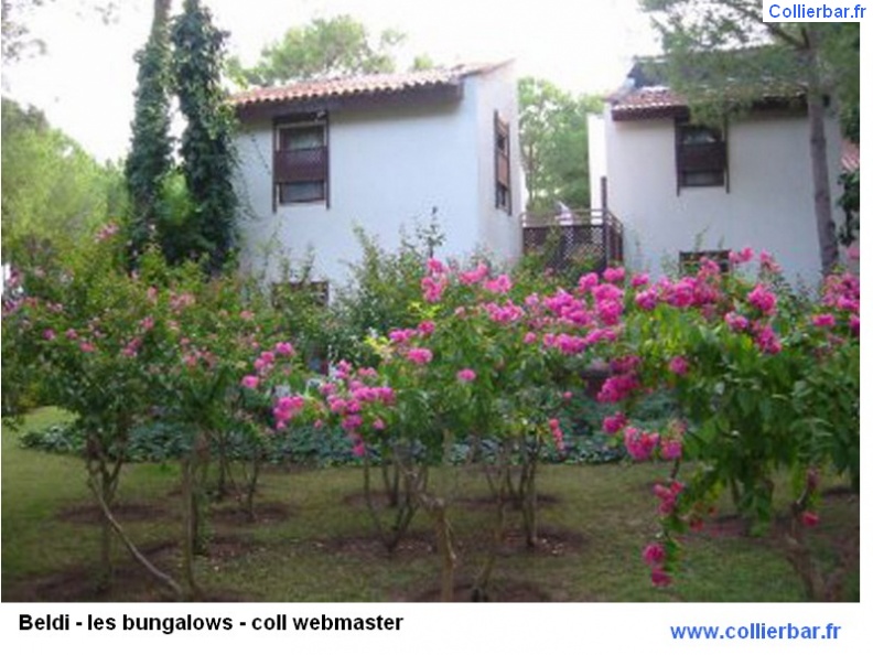 BEL - beldi bungalows.jpg