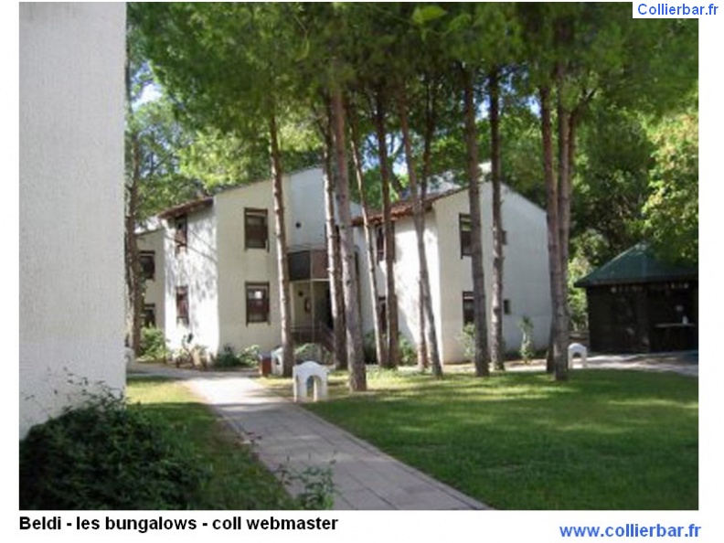 BEL - beldi bungalows-2.jpg