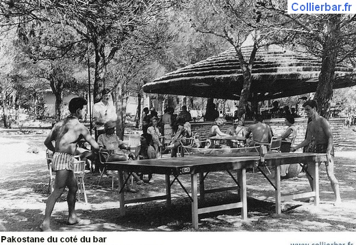 PAK-pingpong (6522 visits, rating score 4.23) PAK-pingpong