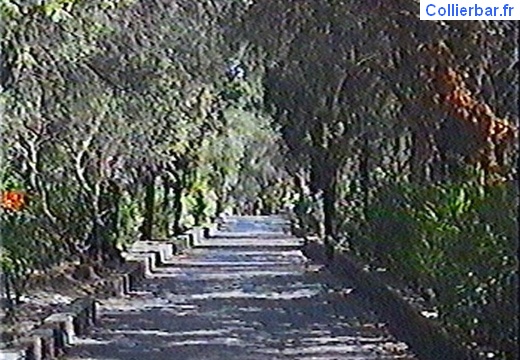 IPS-alleecedres (6821 visits) IPS-alleecedres