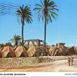 Arziv (Israel)