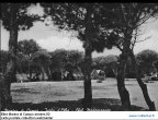 ELB-Elbe1 (20761 visits, 1 comment) ELB-Elbe1