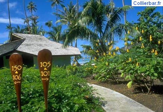 bora 02 (5821 visits) bora 02