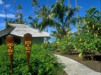 bora 02 (19856 visits) bora 02