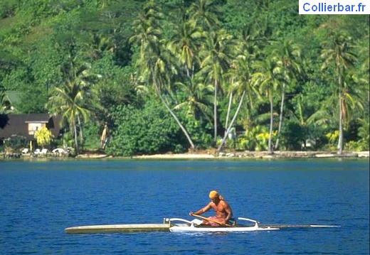 bora 03 (6068 visits) bora 03