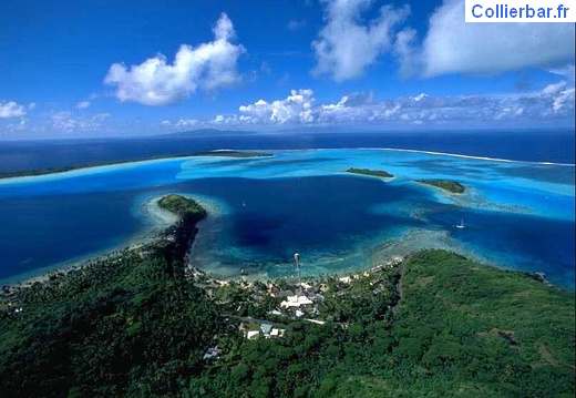 bora 01 (6127 visits) bora 01
