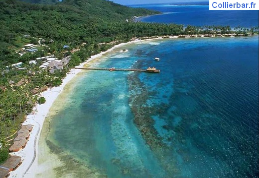 bora 15 (5579 visits) bora 15