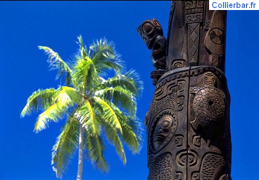 bora 29 (5644 visits) bora 29