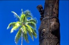 bora 29 (19705 visits) bora 29