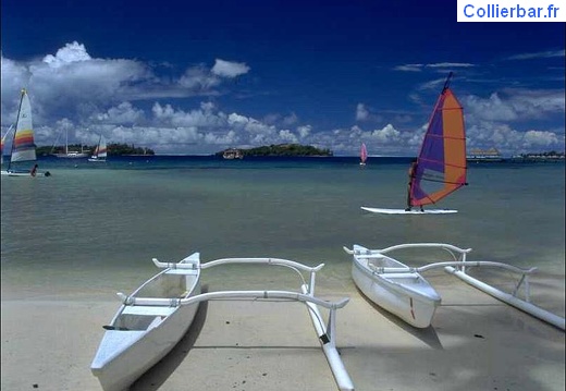 bora 24 (5572 visits) bora 24