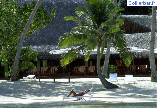 bora 12 (5639 visits) bora 12