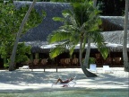 bora 12 (19488 visits) bora 12