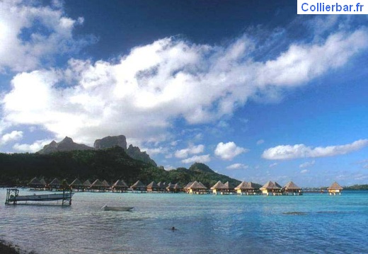 bora 44 (5139 visits) bora 44