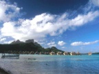 bora 44 (19304 visits) bora 44