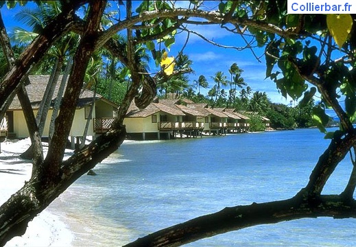 bora 34 (5114 visits) bora 34