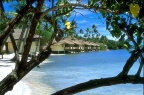 bora 34 (19159 visits) bora 34