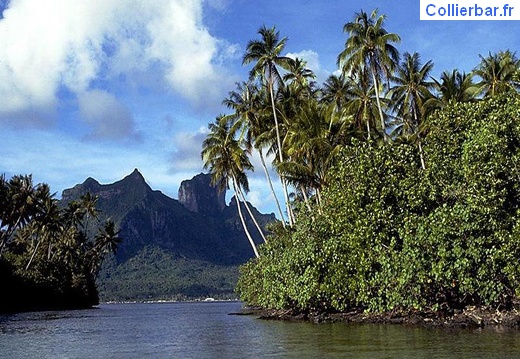 bora 45 (5227 visits) bora 45