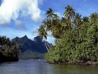 bora 45 (19204 visits) bora 45